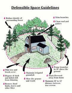 defensiblespaceguide