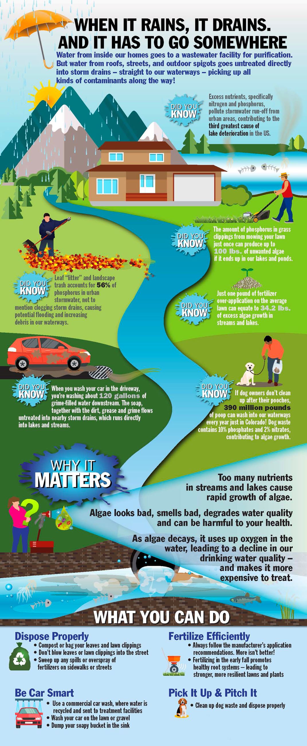 Stormwater Infographic