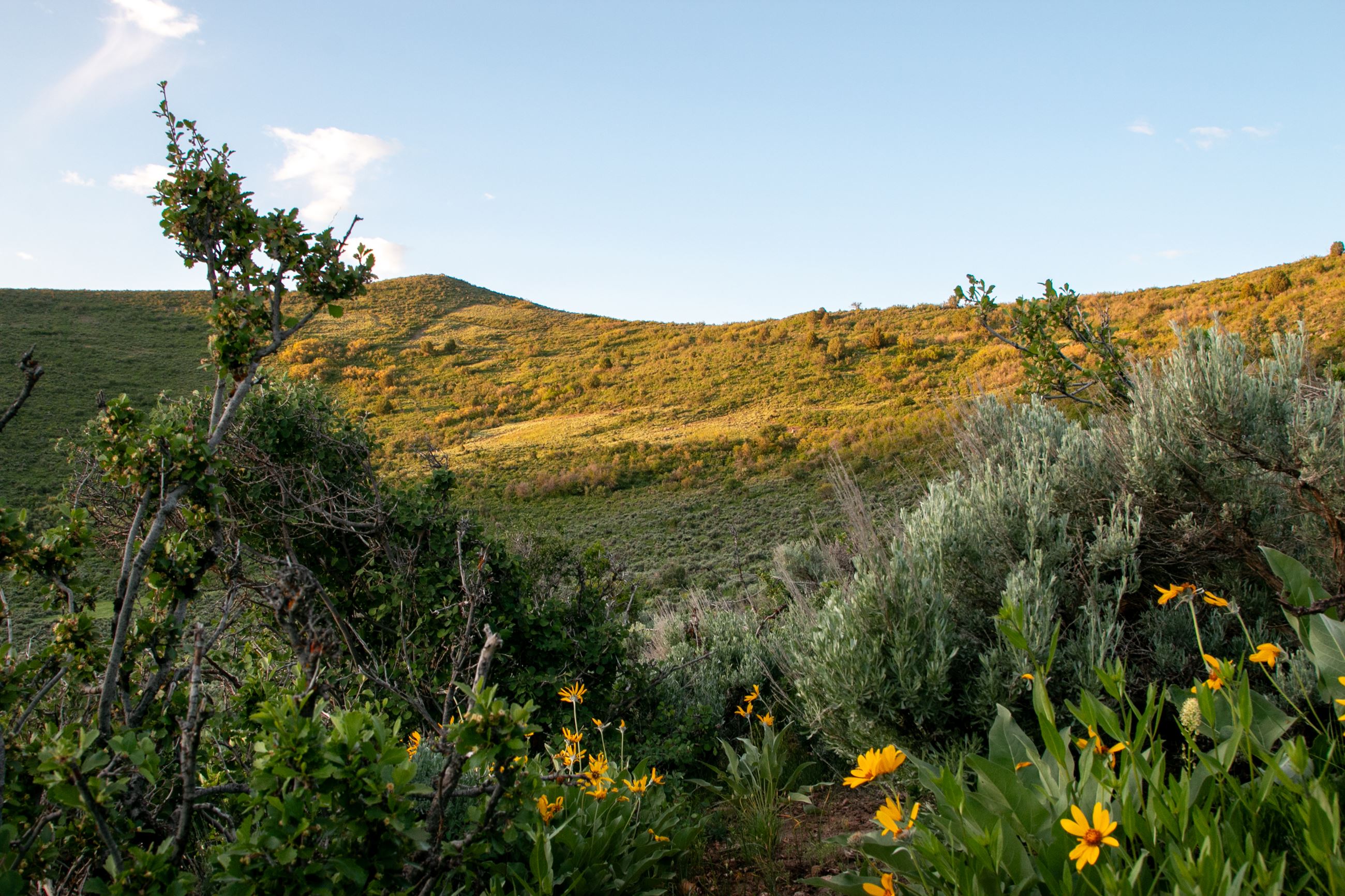 0623_County Lands Ure Property-14