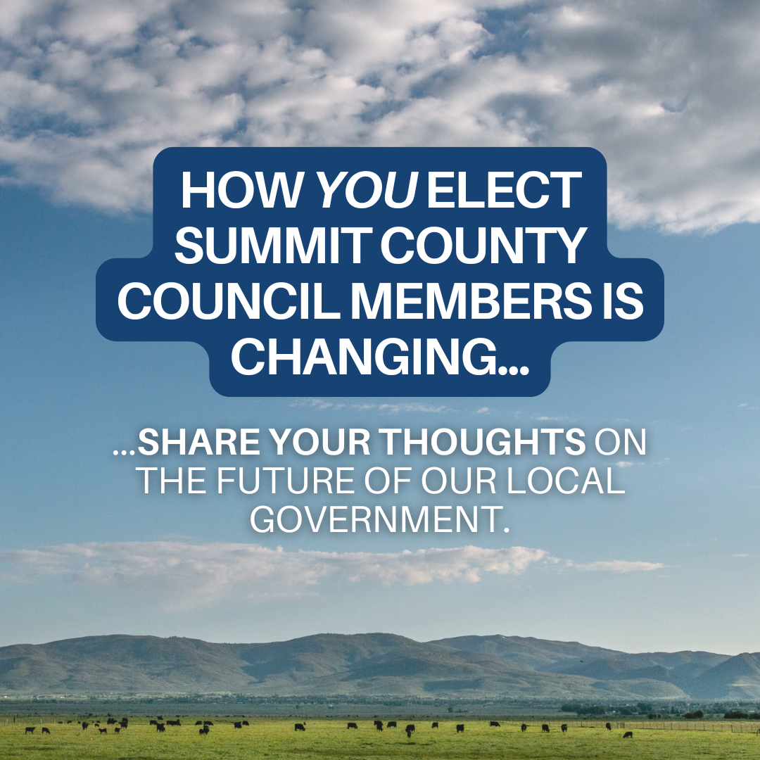 An image of a field with cows  overlaid with text