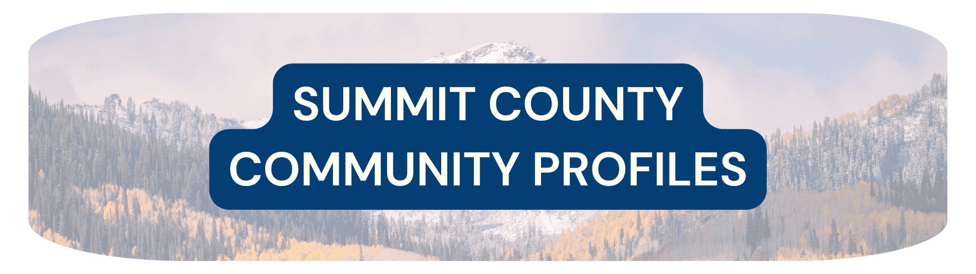 button that says Summit County Community Profiles