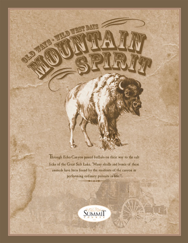 Mountain Spirit Cover